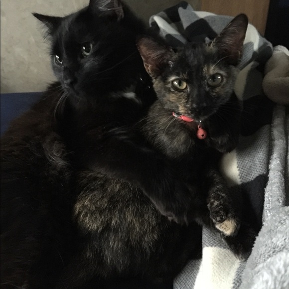 Hi! I am Natalie!🤙🏼 - Picture 5 of 6